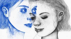 Sophie Williamson Illustration