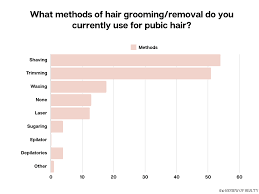 Best Razor For Bikini Area \u0026 Pubes That Porn Stars Use