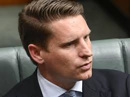 Shapes, lights and frogs