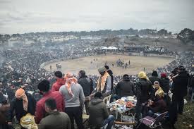 Camel wrestling competitions turn the region into a festival ground and attract many visitors from the nearby settlements. Into The Arena For Camel Wrestling In Turkey Arab News