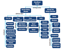 Kunci determinasi kunci determinasi merupakan suatu kunci yang dipergunakan untuk menentukan filum atau divisi, kelas, ordo, famili, genus, atau spesies. Http Eprints Uny Ac Id 46789 9 15 20rpp 20klasifikasi 20mh 20kls 207 Pdf
