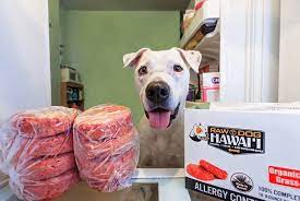 Our Food Is Sourced Bagged And Shipped Locally In Hawaii And With The Highest Quality Ingredients To Boost You Dog Food Recipes Natural Dog Food Pet Wellness