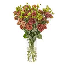 Image result for eustoma lisianthus in vase