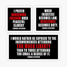 Freedom is just chaos, with better lighting. Dangerous Freedom Gifts Merchandise Redbubble