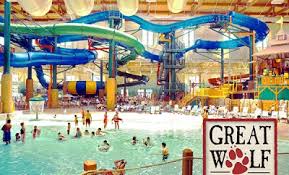 Image result for great wolf lodge