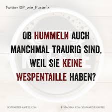Mats julian hummels (german pronunciation: Traurige Hummel In 2021 Lustige Zitate Und Spruche Witzige Spruche Lustige Kommentare
