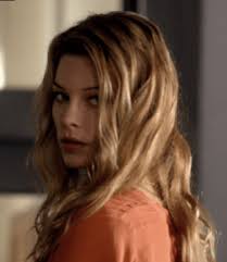 The Steve McGarrett Story