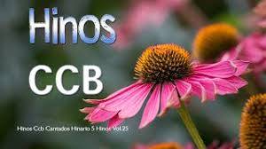 #hinosinstrumentaisccb #ccb #hinostocadosccb #hinosavulsosccb #avulsosccb #hinario5 #hinosinstrumentais #violino #viola. Hinos Ccb Tocados