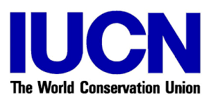 Image result for Justicia stachytarphetoides