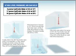 Understanding Dew Point And Relative Humidity Weather