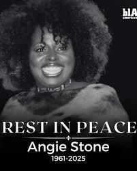 Angela Braxton-Johnson; Poetically Inspiring Change