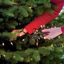Vous souhaitez acheter un beau sapin de noël pour les fêtes de fin d'année ? Comment Mettre Des Lumieres Sur Votre Arbre De Noel