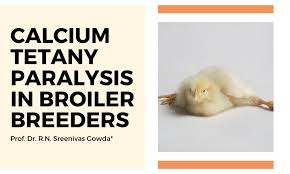 Image result for Tetany