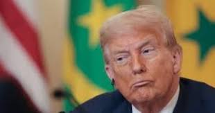 اليوم السابع - News update