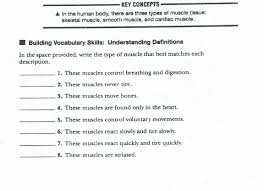 50 Skeletal System Worksheet Pdf Chessmuseum Template Library In 2020 Skeletal System Worksheet Muscular System Skeletal And Muscular System