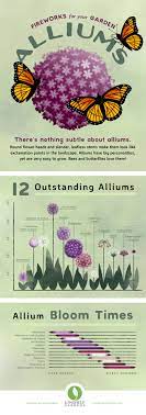 Love Alliums Check Out Our New Planning Guide Longfield Gardens Landscaping Around Trees Landscaping Around House Fall Garden Vegetables