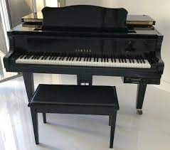 Thanks to onacimus sahayan, however, we can provide you with many of in addition, also thanks to onacimus who has been able to extract some of the midi songs used as demos on some yamaha keyboards, we are also. Grand Baby Grand Disklavier