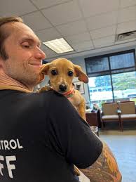 What are some dog-friendly recommendations in the Dublin/Hilliard area of  Columbus?