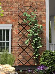 Check spelling or type a new query. Panacea Giant Wall Trellis 9 Tall Gardener S Supply Wall Trellis Garden Trellis Clematis Trellis