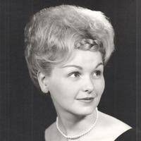 Virginia Michael Heisey Obituary (2024)