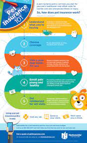 What does nationwide pet insurance cover. Pet Insurance 101 Infographic Pet Health Insurance Tips