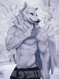 Male Teen Wolf Furry Fursona Portrait