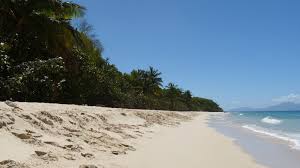 Quelles sont les règles ? Vacances De Noel Le Littoral Et Les Iles Pour S Evader Malgre Le Covid