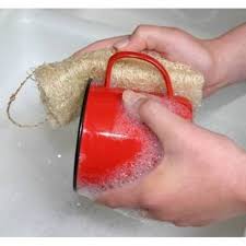 Voici Comment Je Fais Pousser Des Eponges Dans Mon Jardin Eponge Vegetale Eponge Naturelle Et Fait Maison