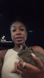 This is the social media content I love. , “The cat distribution system  strikes again” ♥️♥️♥️ #cats