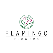 Home Flamingo