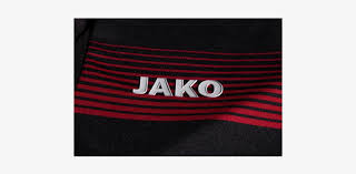 The sponsor of the home kit is jako. Bayer Leverkusen 16 17 Home Jersey Chicharito Bayer 04 Leverkusen Free Transparent Png Download Pngkey