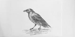Как нарисовать ворона