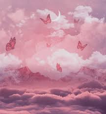 Aesthetic butterfly wallpapers top free aesthetic. Butterfly Aesthetic Wallpaper Nawpic
