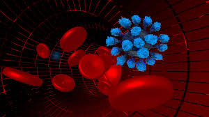 Blood Clot Clues And The Reach Of Covid 19