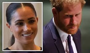 Prince Harry 'appeared nervous' at UN speech