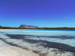 Mit dem check24 singleurlaub wird ihnen garantiert nicht langweilig angebote für singlereisen ab 50 ab 40 ab 30 uvm. Sardinien Cala Brandinchi Region Um St Teodoro Im Osten Von Sardinien Ferienwohnungen Ferienhauser