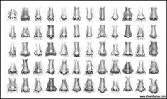 If you are drawing landscapes or city scenes, you should invest in a book about perspective to help you accurately create depth in your drawings. 47 Anatomy Nose Ideas In 2021 Animal Noses Cute Animals Nose Drawing