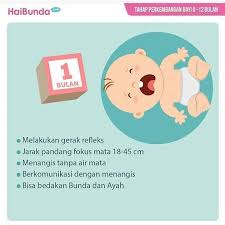 Membandingkan kecerdasan anak dengan anak orang lain, bisa dijadikan alternatif untuk memastikan apakah perkembangan si kecil termasuk baik. Cahaya Mata Tahap Perkembangan Bayi 0 12 Bulan Facebook