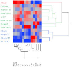 Agronomy Free Full Text Scion Rootstock Response On Production Mineral Composition And Fruit Quality Under Heavy Calcareous Soil And Hot Climate Html
