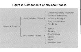 Muscular strength is the ability of the muscles to exert force over a single or maximal effort. Physical Activity Exercise And Physical Fitness Definitions And Distinctions For Health Related Research Semantic Scholar