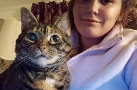 Melissa Olmeda's Instagram, Twitter & Facebook