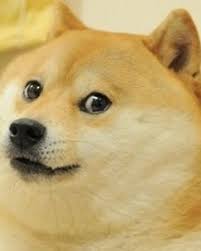 Doge (often /ˈdoʊdʒ/ dohj, /ˈdoʊɡ/ dohg, /ˈdoʊʒ/ dohzh) is an internet meme that became popular in 2013. Doge Post Happening Dogelore Wiki Fandom