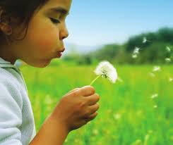 Foundations Training for Caregivers