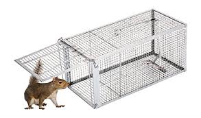 If you want to be humane but really don't want to see the captured mice, consider this tin cat trap from victor. Cheap Animal Traps Lowes Find Animal Traps Lowes Deals On Line At Alibaba Com