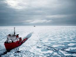 Image result for Cream 1986 Fleet