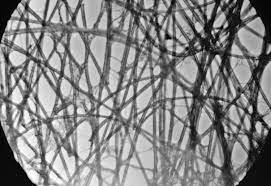 We did not find results for: Tissue Paper Under Microscope Photo Net Photography Forums