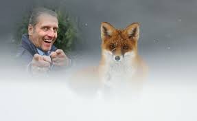 Wenn sie erwägen, zahnimplantate zu bekommen, dann sind sie auf dem richtigen weg! Martin Auf Streife Aufstreifefuchs Twitter