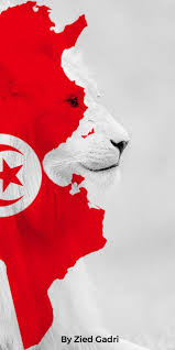 Shop for cheap home & garden? Tunisia Wallpapers Posted By Sarah Cunningham