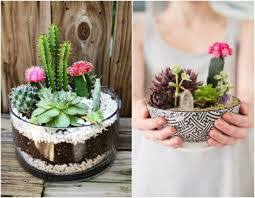En tozapping.com te explicamo cómo hacer cactus con piedras. Centros De Mesa De Cactus Y Suculentas Manualidadesmanualidades