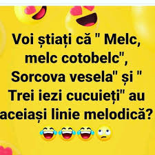 Bine ati venit pe jocurifete.ro! Pin By Mumu Cucurigu On Glume Funny Images Funny Memes Funny